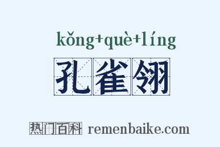 孔雀翎是什么意思的图片